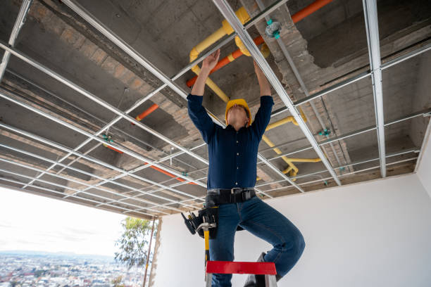 Best Plumbing Services Near Me  in Dellwood, MN