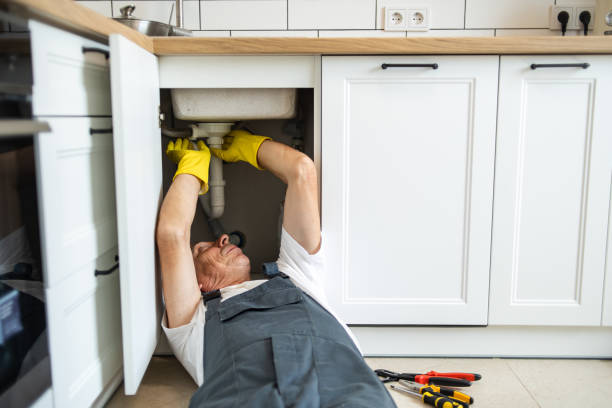 Best Residential Plumbing Services  in Dellwood, MN