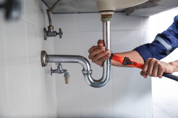 Best Sprinkler Systems  in Dellwood, MN